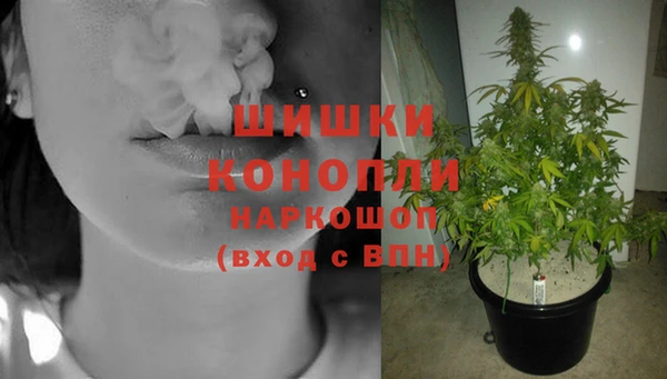 дживик Приозерск