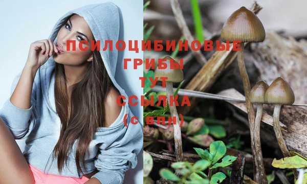 дживик Приозерск