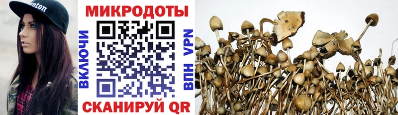 купить цена Суоярви это какой сайт Псилоцибиновые грибы GOLDEN TEACHER гидра ссылка